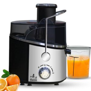 How to Choose the Best Juicer- 2022